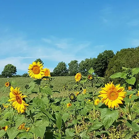 Am Grasweg Dom wakacyjny