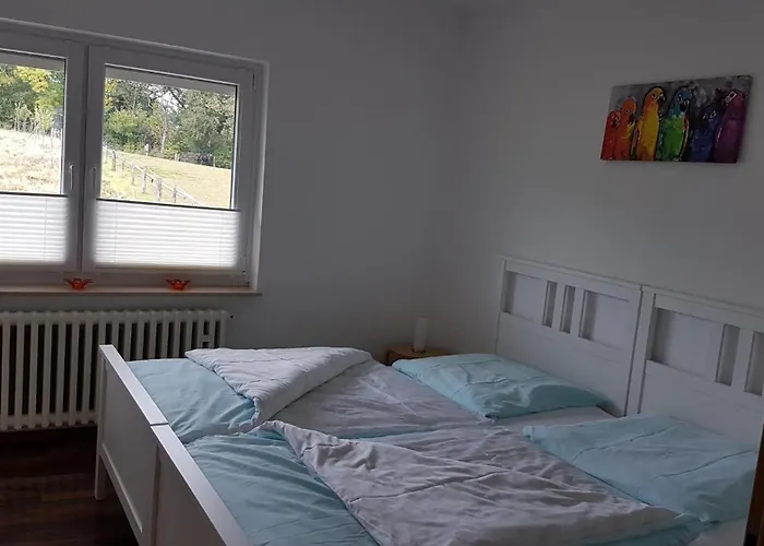 度假居 Am Grasweg 赫克斯特